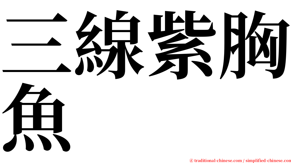 三線紫胸魚 serif font