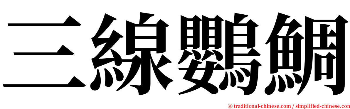 三線鸚鯛 serif font