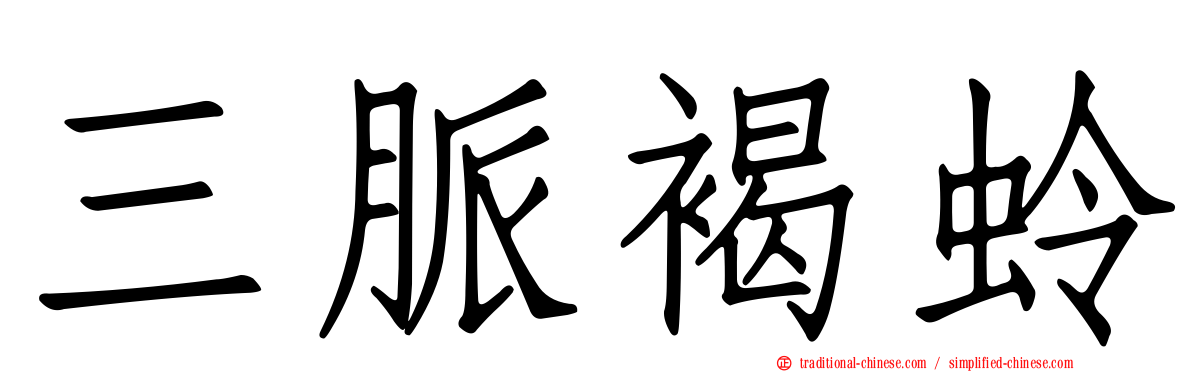 三脈褐蛉