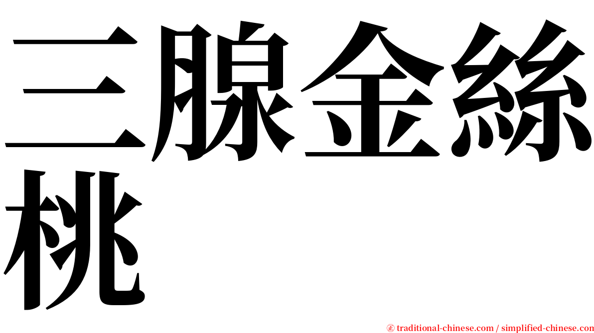三腺金絲桃 serif font