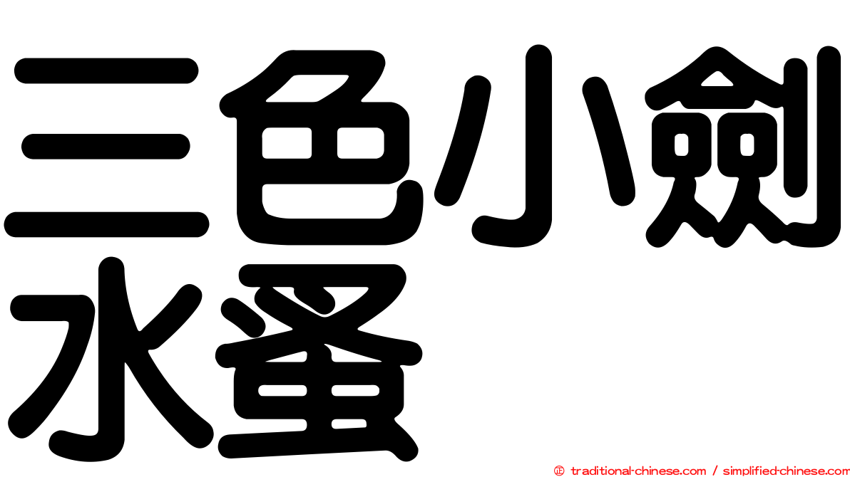 三色小劍水蚤