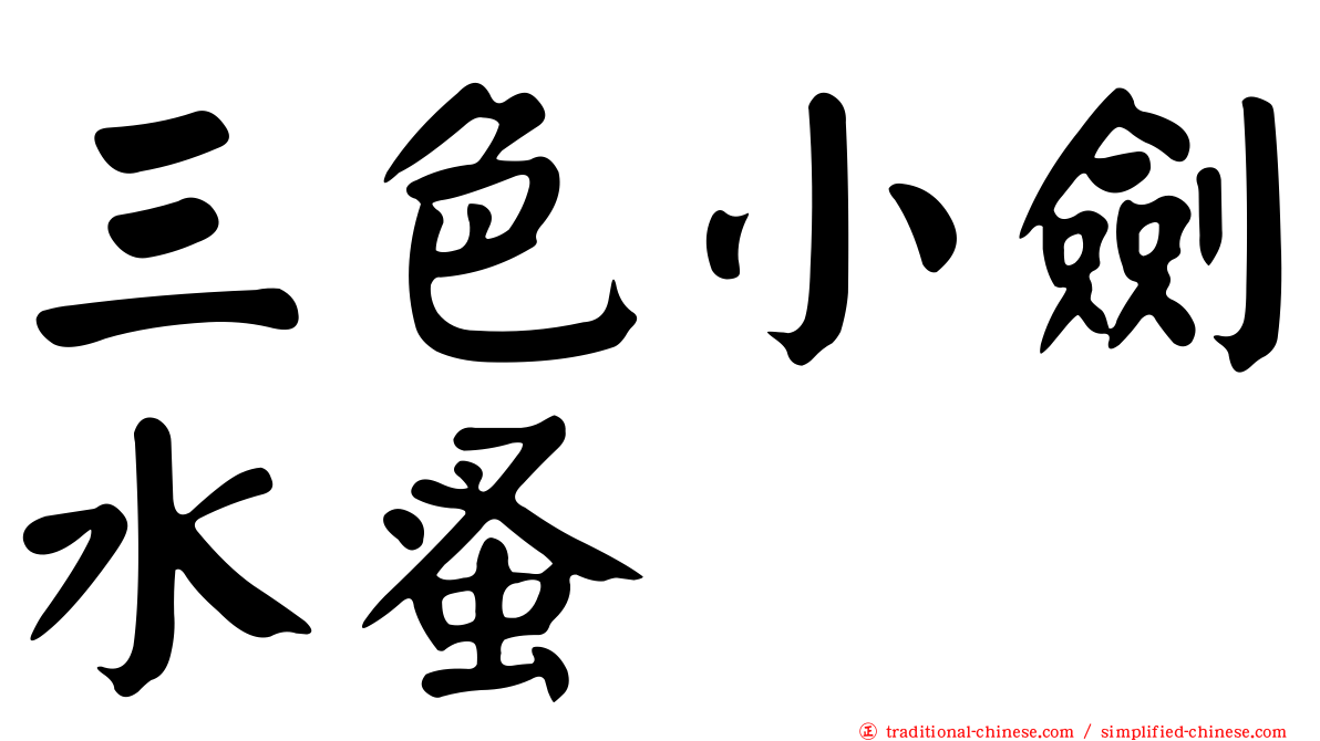 三色小劍水蚤