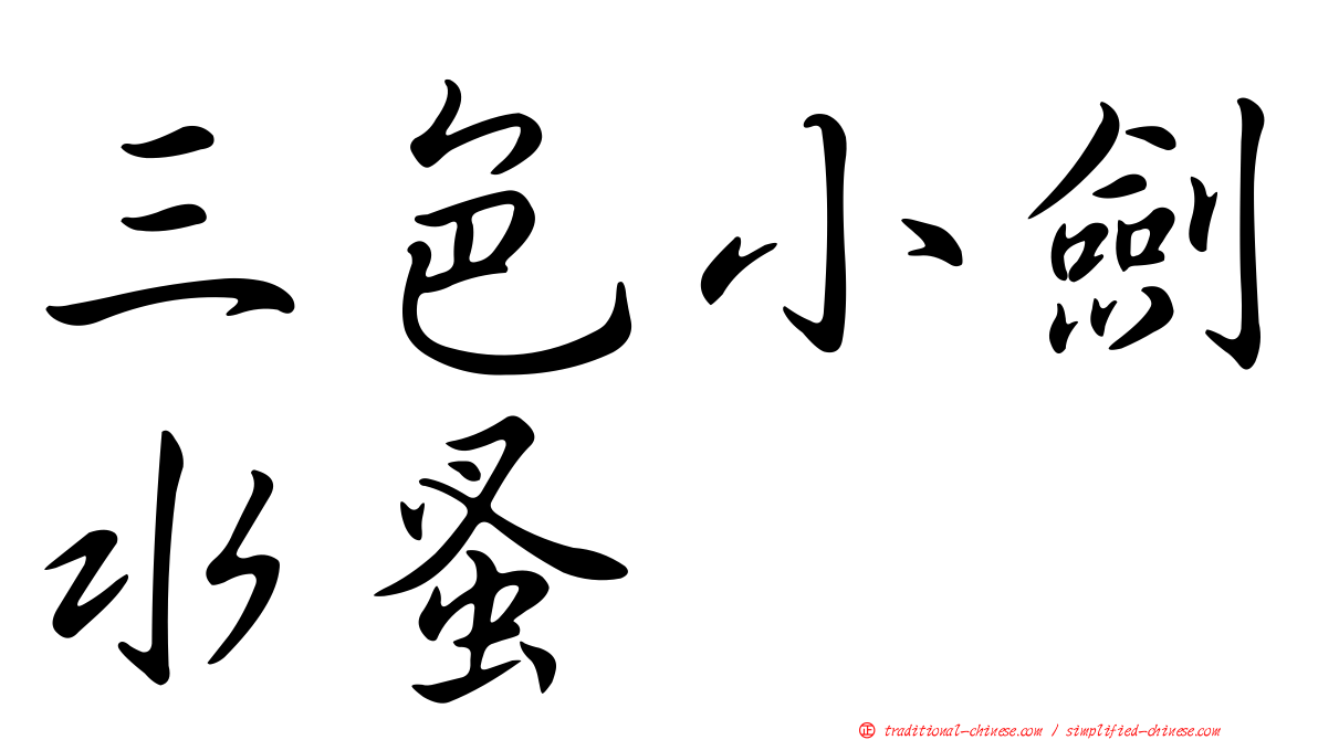 三色小劍水蚤