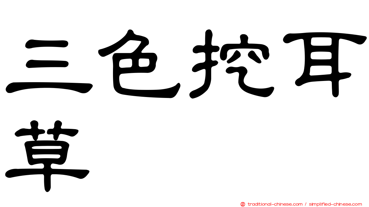 三色挖耳草