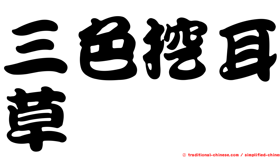 三色挖耳草