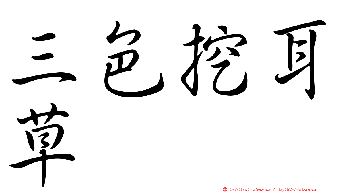 三色挖耳草