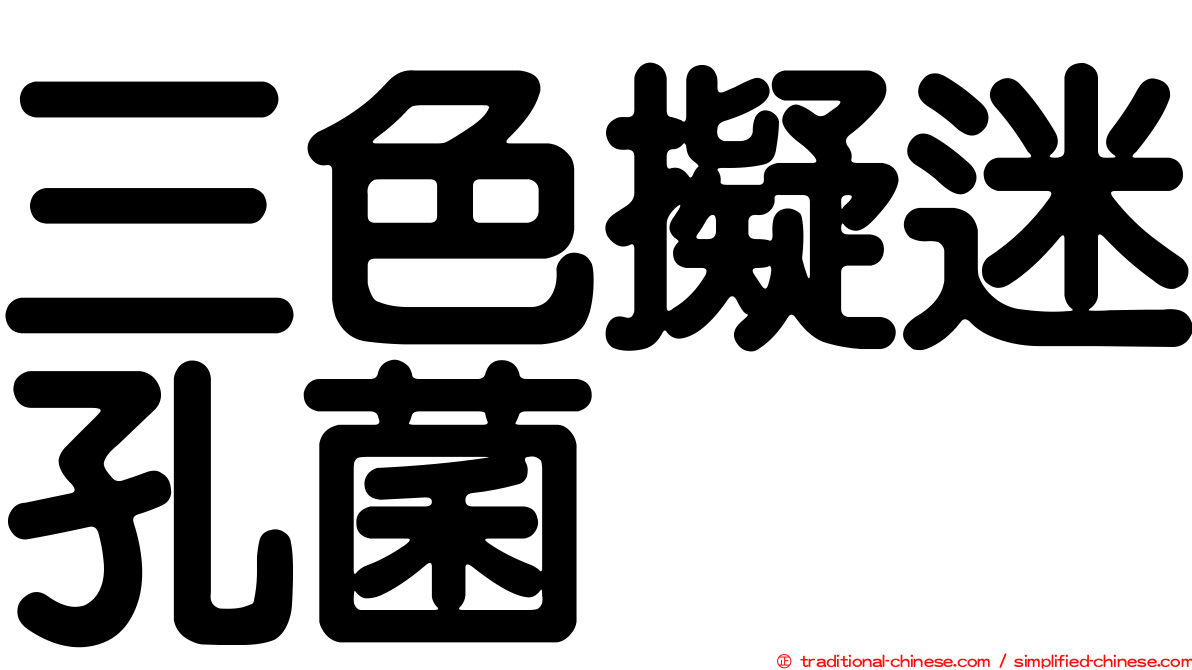 三色擬迷孔菌
