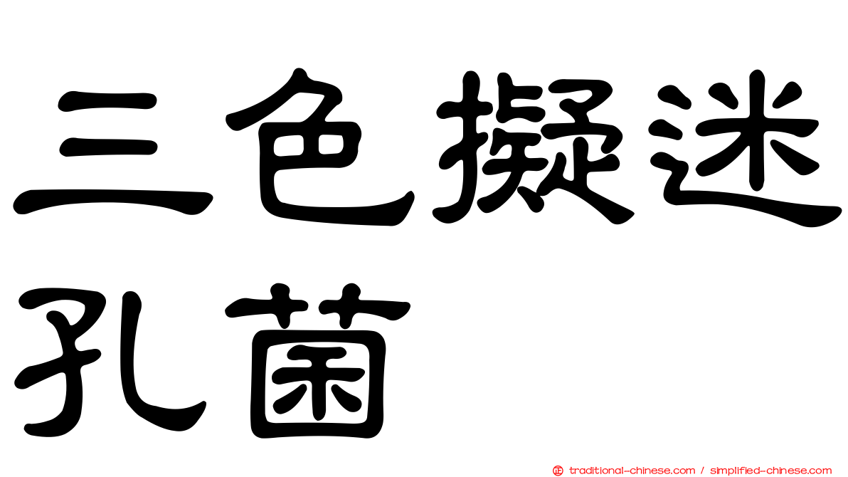 三色擬迷孔菌
