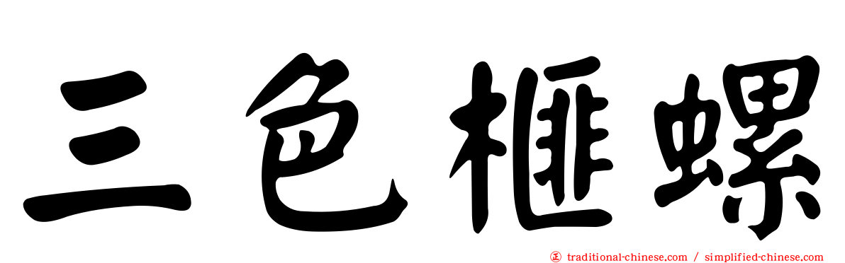 三色榧螺