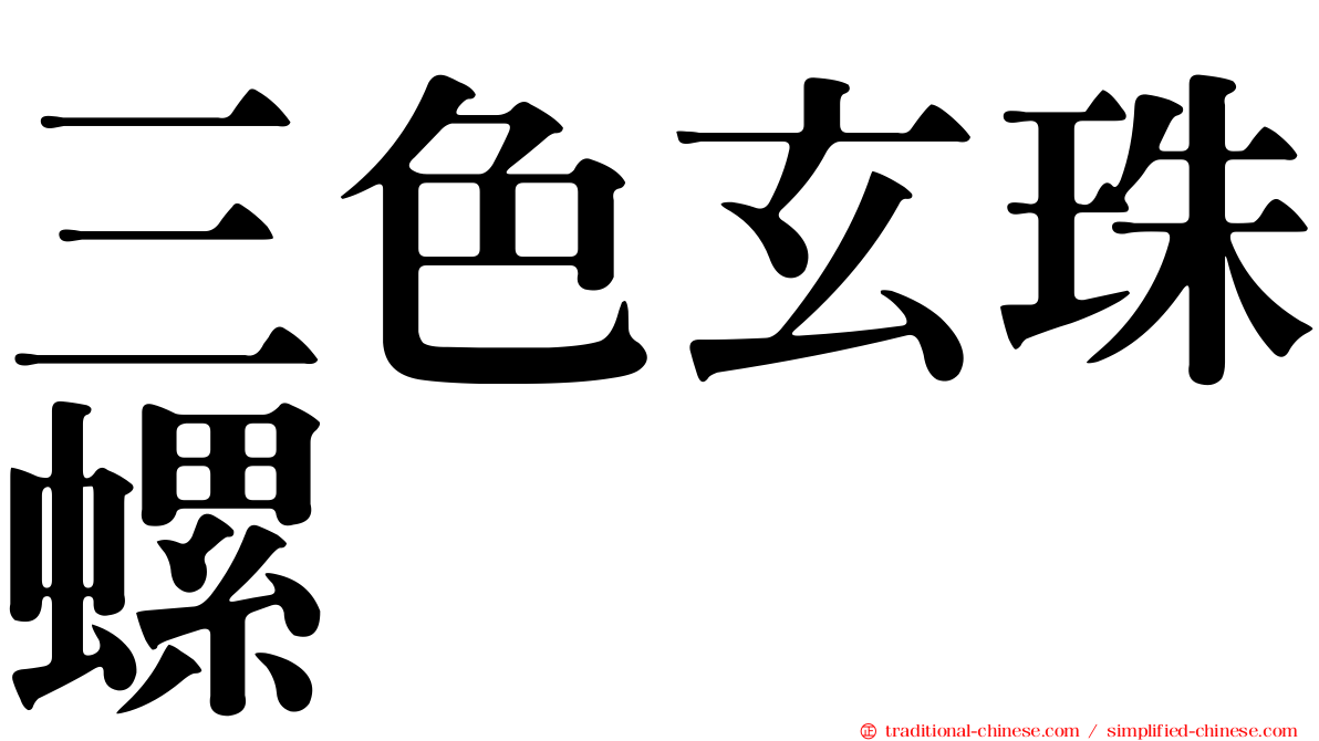 三色玄珠螺