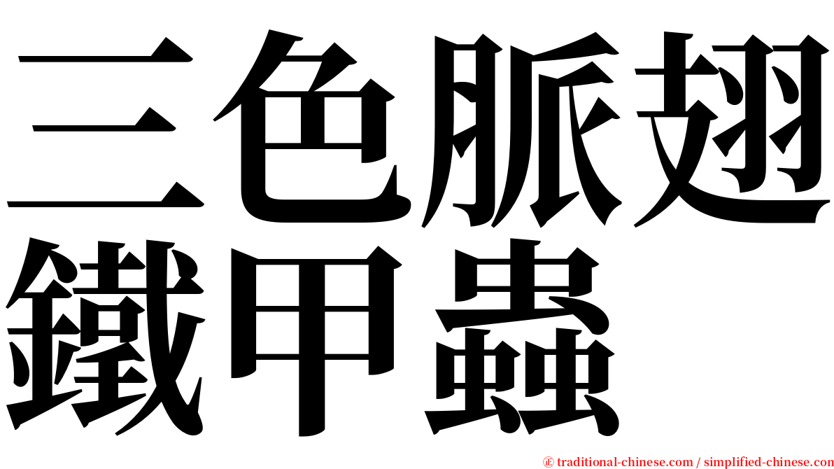三色脈翅鐵甲蟲 serif font