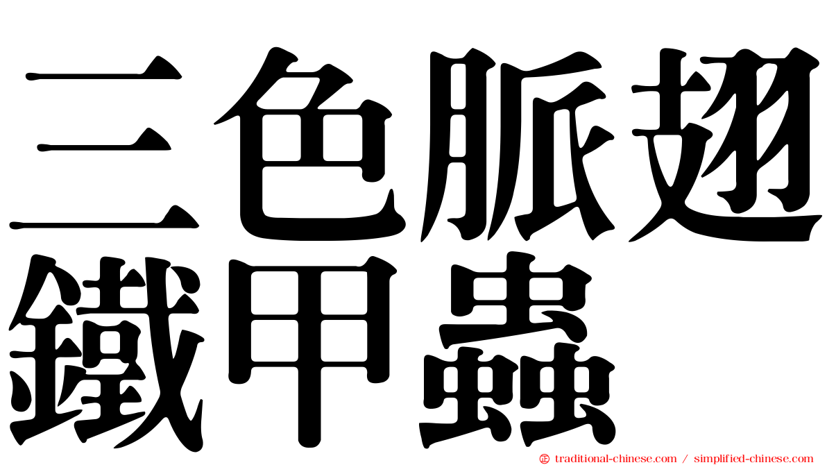 三色脈翅鐵甲蟲