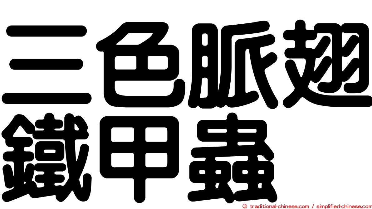 三色脈翅鐵甲蟲