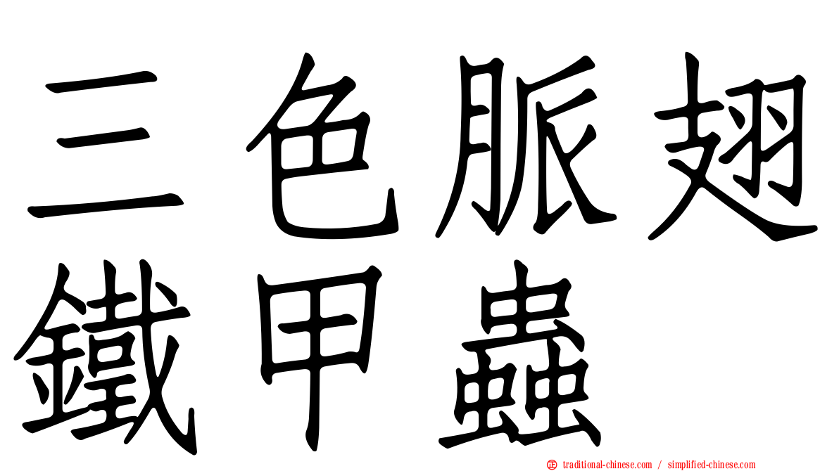 三色脈翅鐵甲蟲