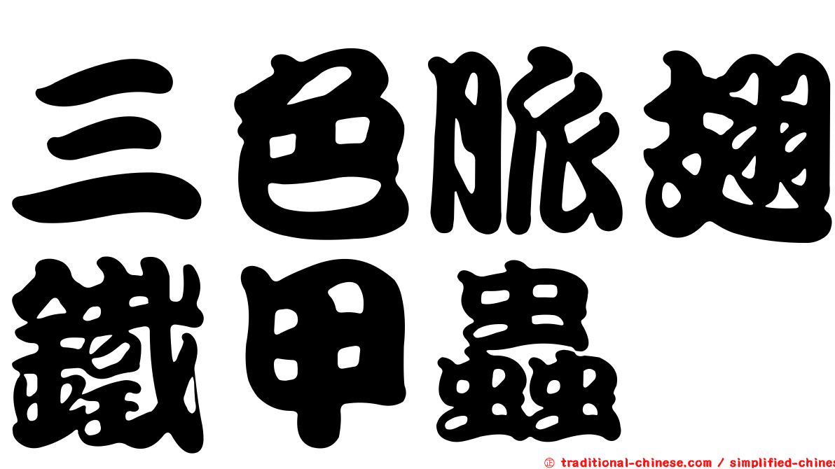 三色脈翅鐵甲蟲
