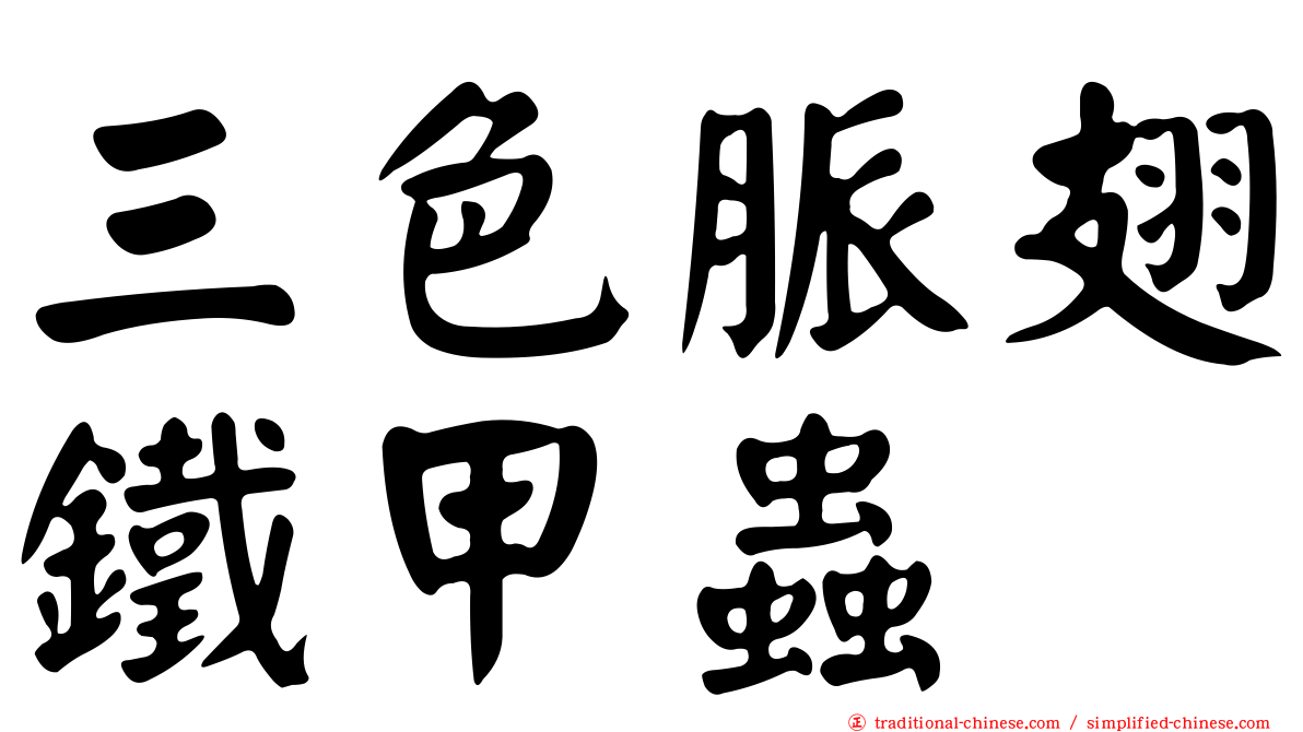 三色脈翅鐵甲蟲