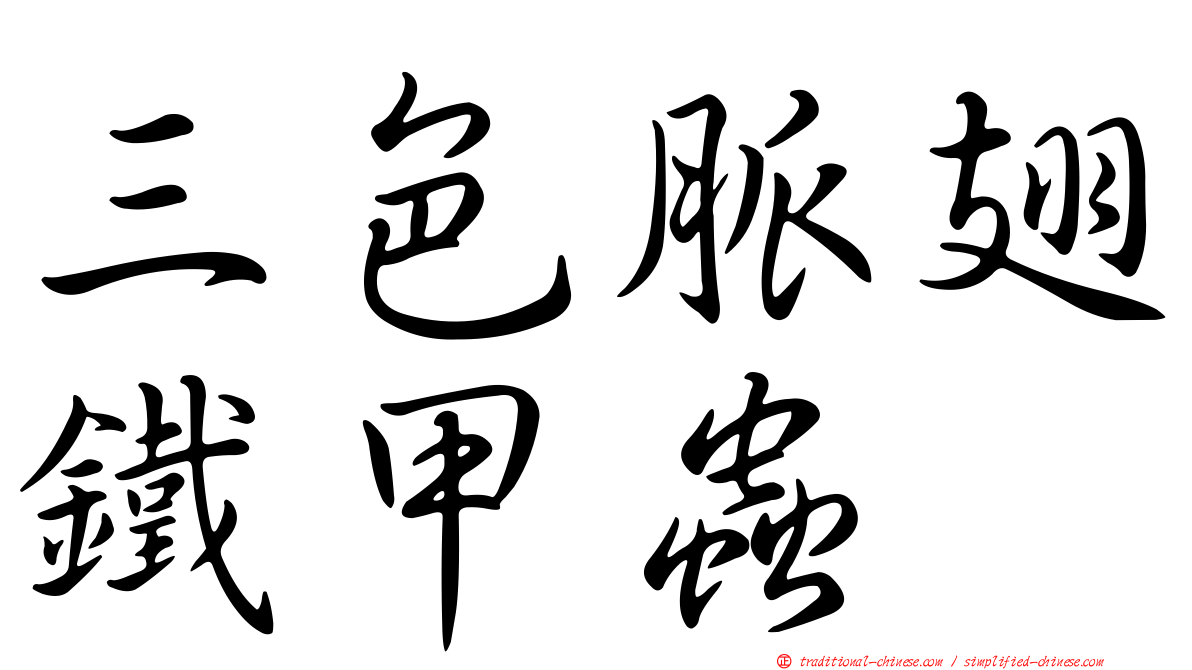 三色脈翅鐵甲蟲