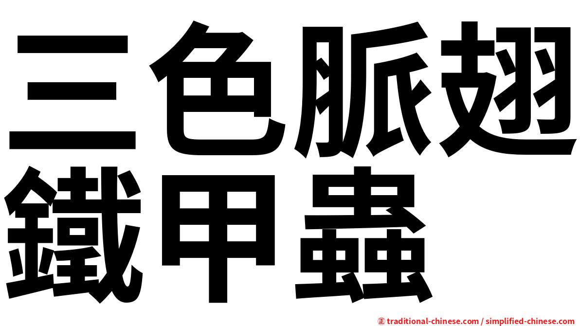 三色脈翅鐵甲蟲