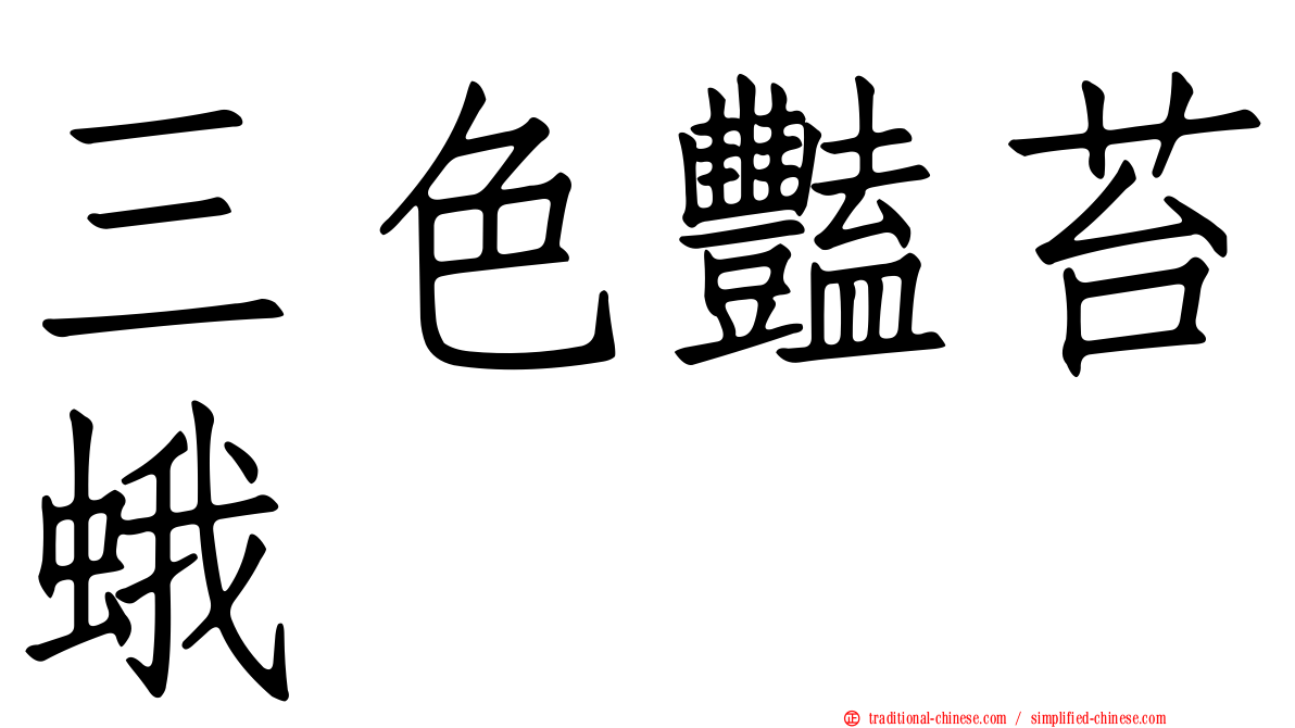 三色豔苔蛾