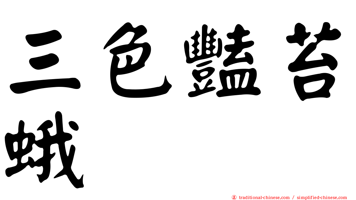 三色豔苔蛾