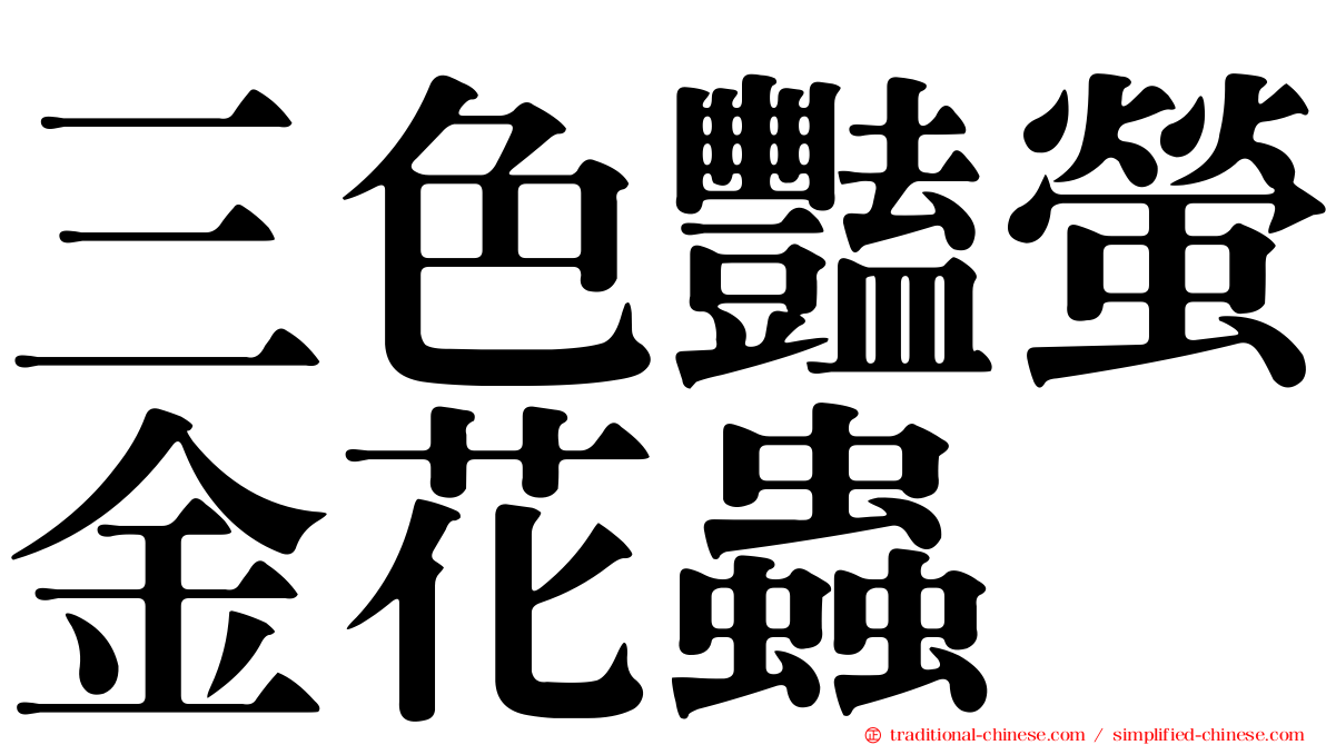 三色豔螢金花蟲