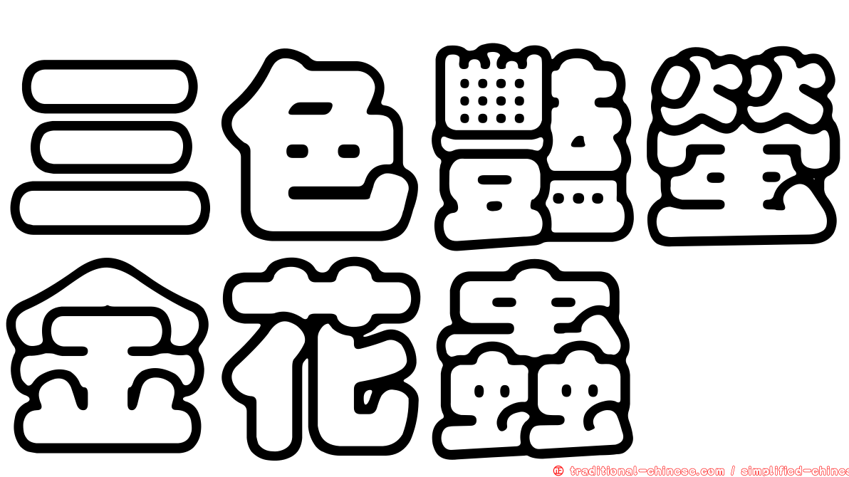 三色豔螢金花蟲