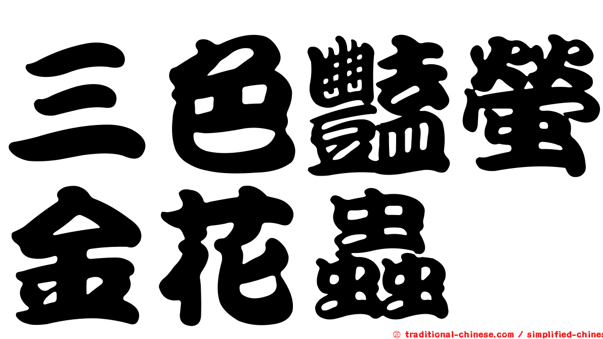 三色豔螢金花蟲