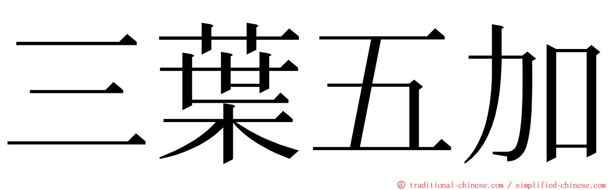 三葉五加 ming font