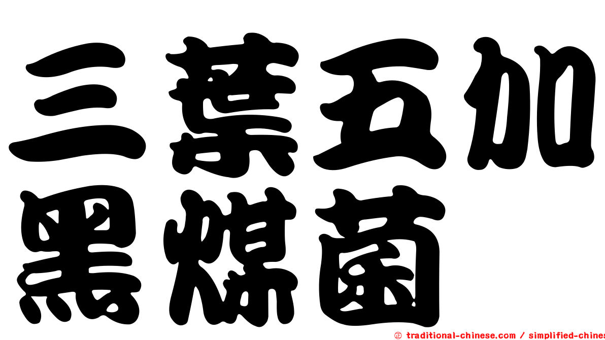 三葉五加黑煤菌