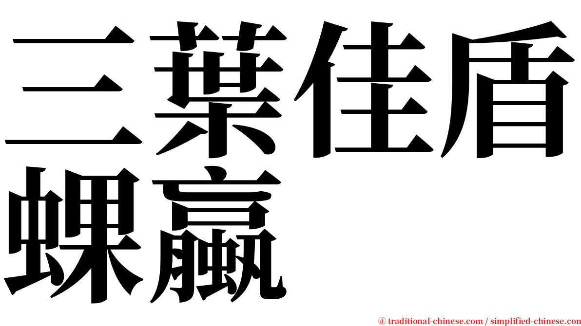 三葉佳盾蜾蠃 serif font