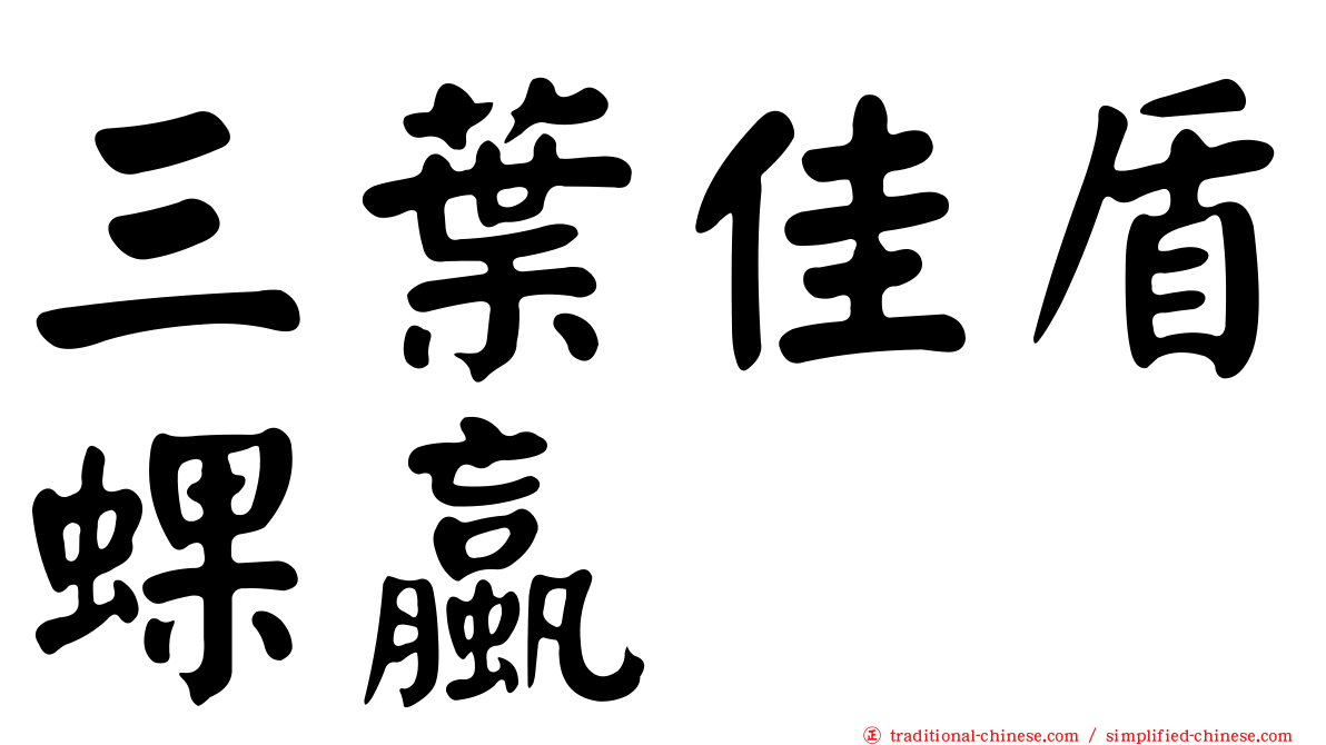 三葉佳盾蜾蠃
