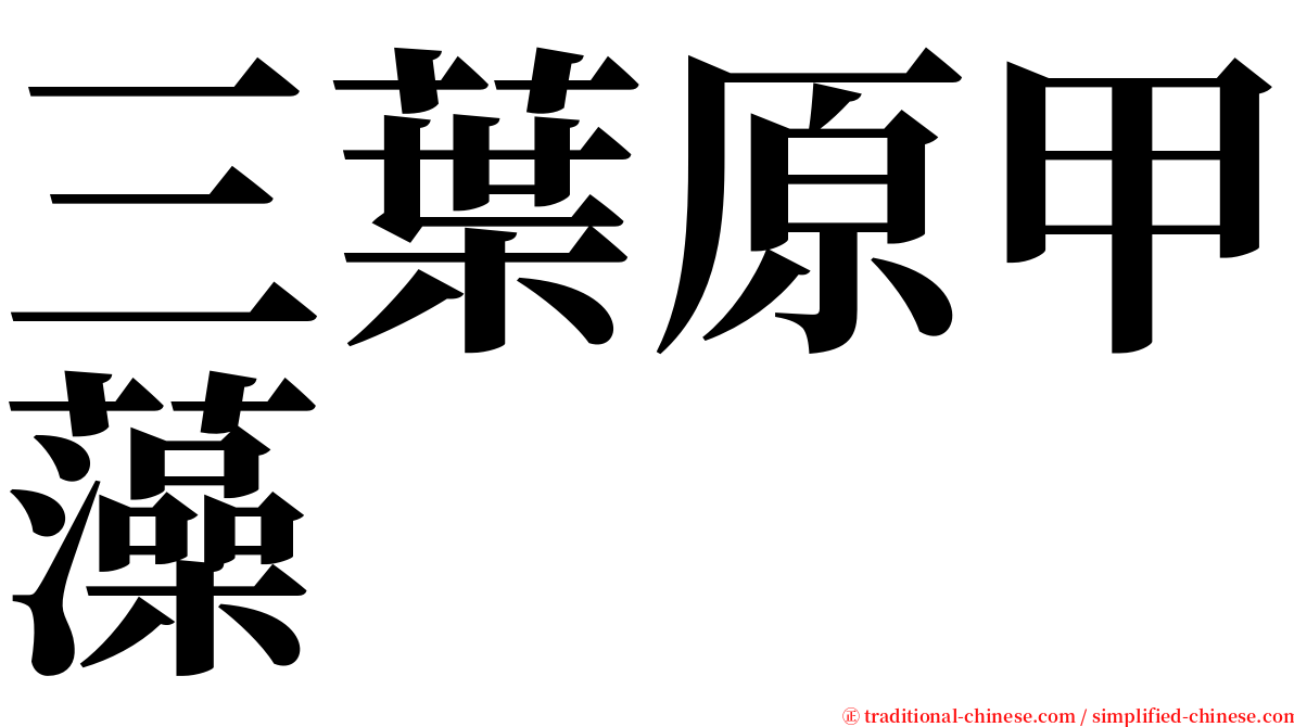 三葉原甲藻 serif font