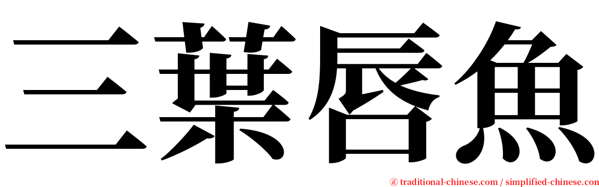 三葉唇魚 serif font