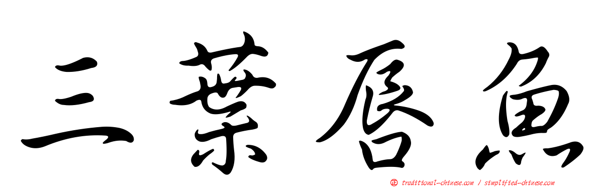 三葉唇魚