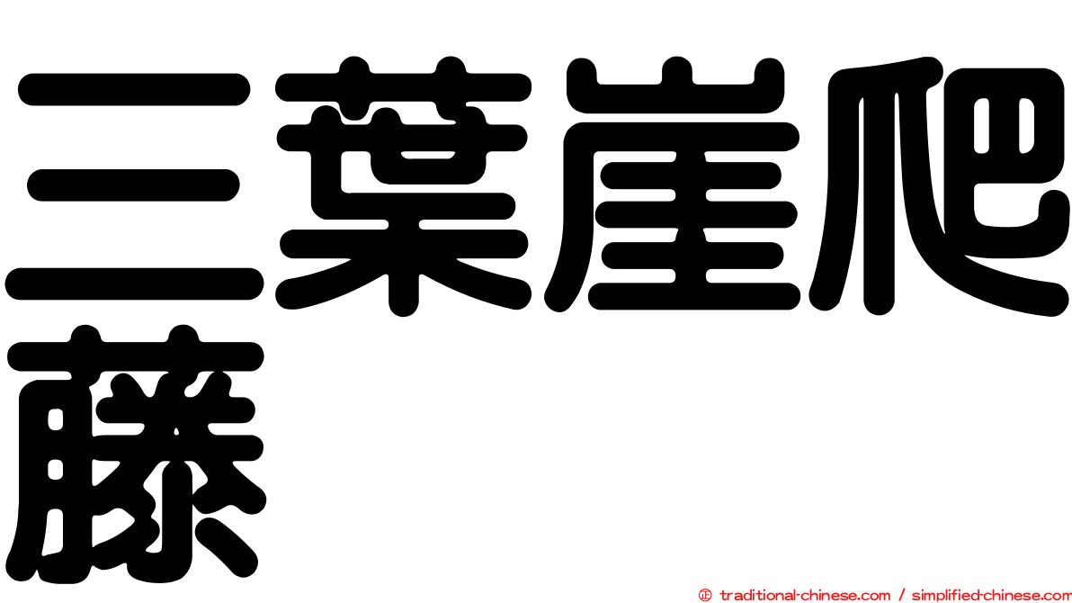 三葉崖爬藤