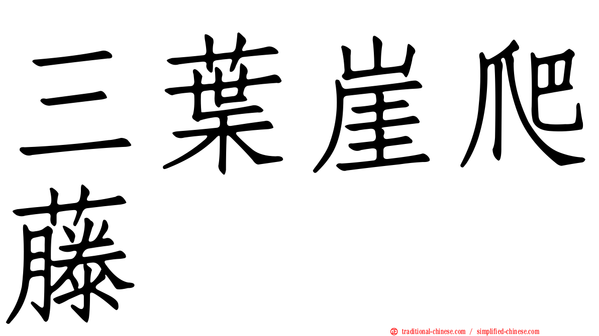 三葉崖爬藤
