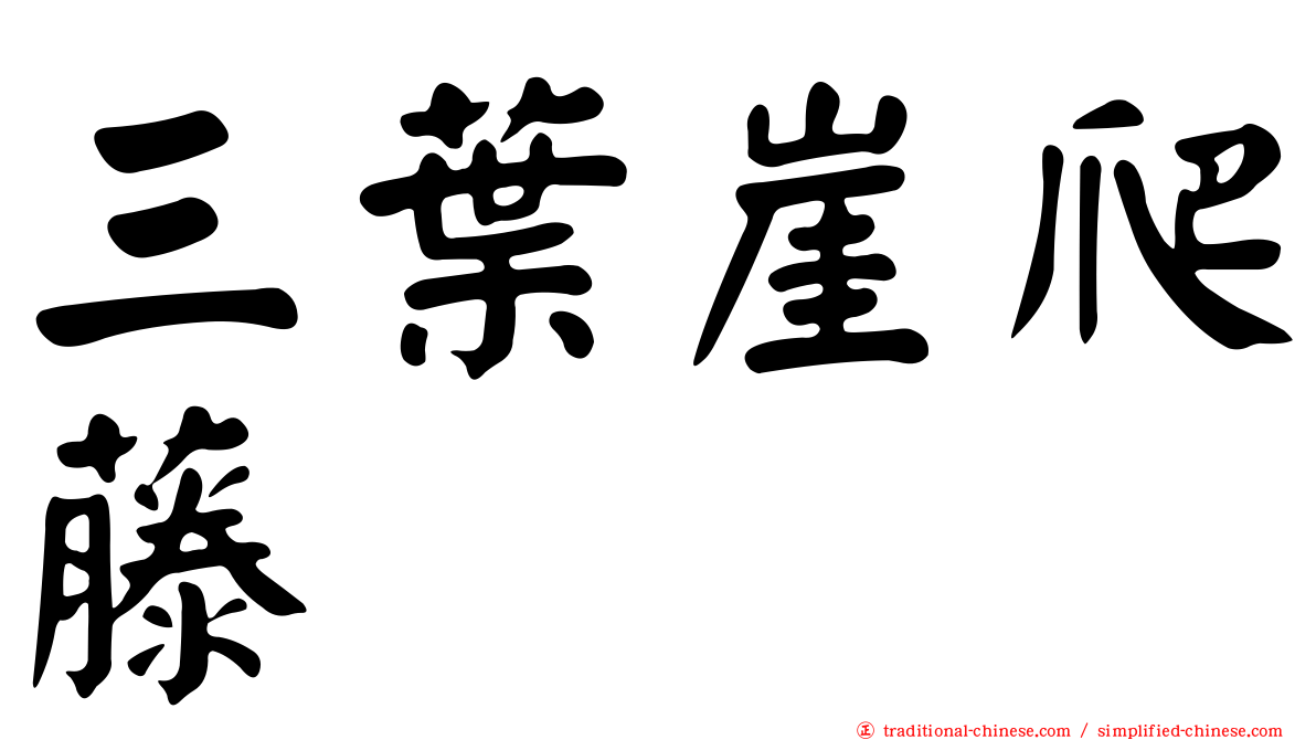 三葉崖爬藤