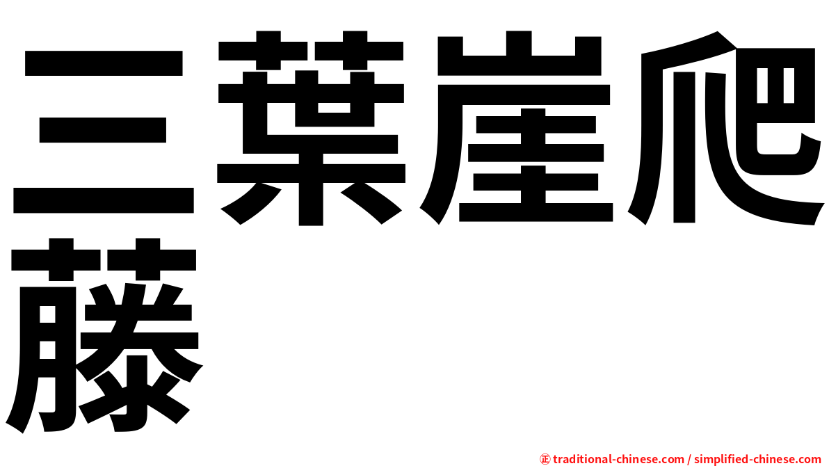 三葉崖爬藤