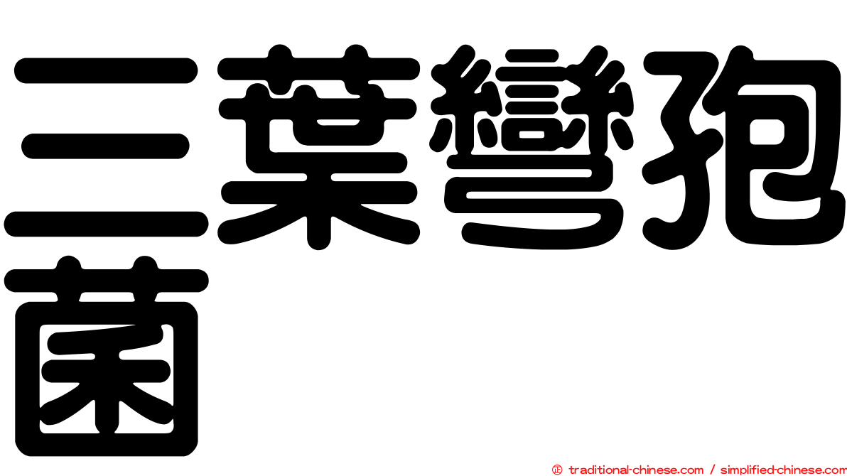 三葉彎孢菌