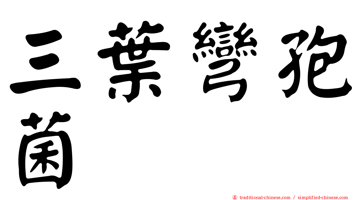 三葉彎孢菌