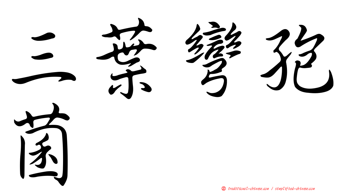三葉彎孢菌