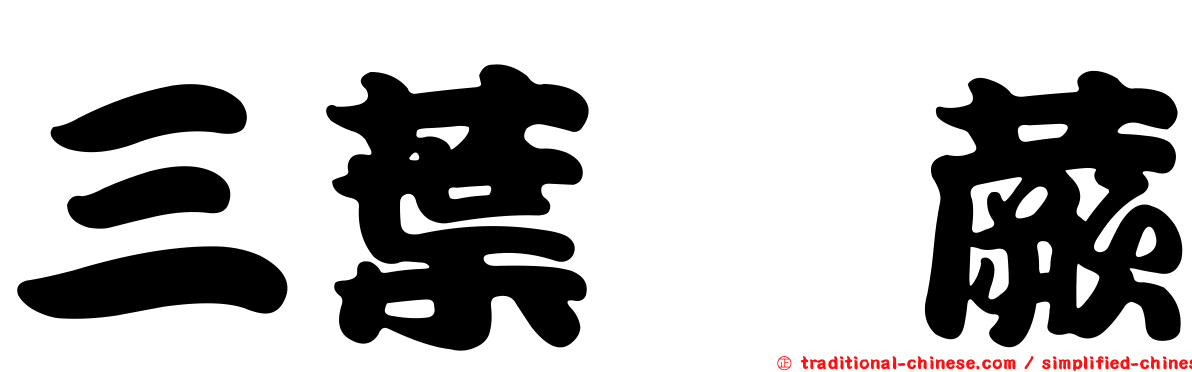 三葉茀蕨