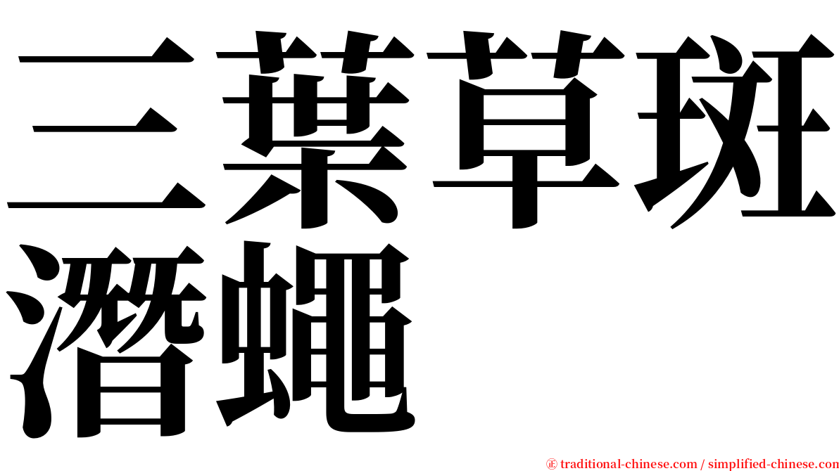 三葉草斑潛蠅 serif font