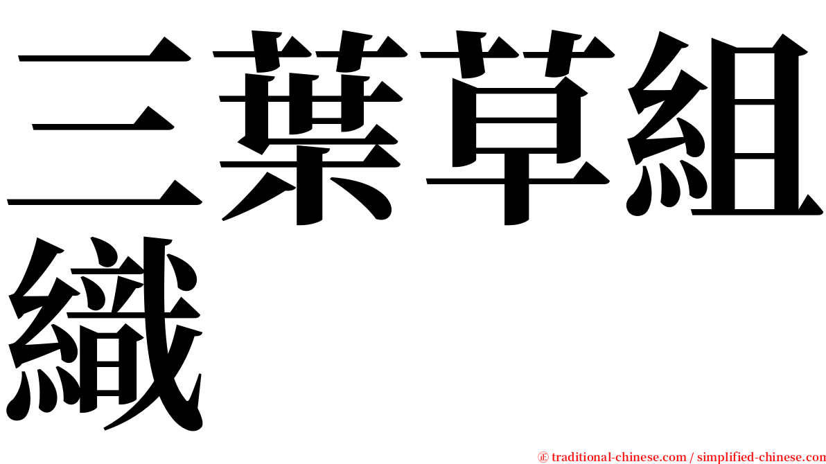 三葉草組織 serif font