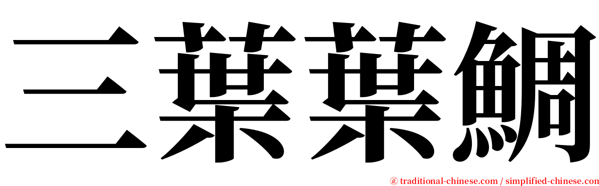 三葉葉鯛 serif font