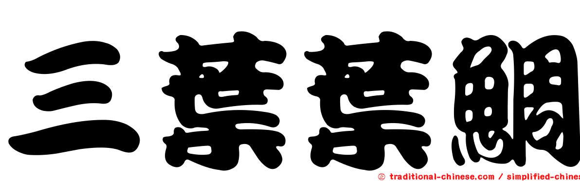 三葉葉鯛