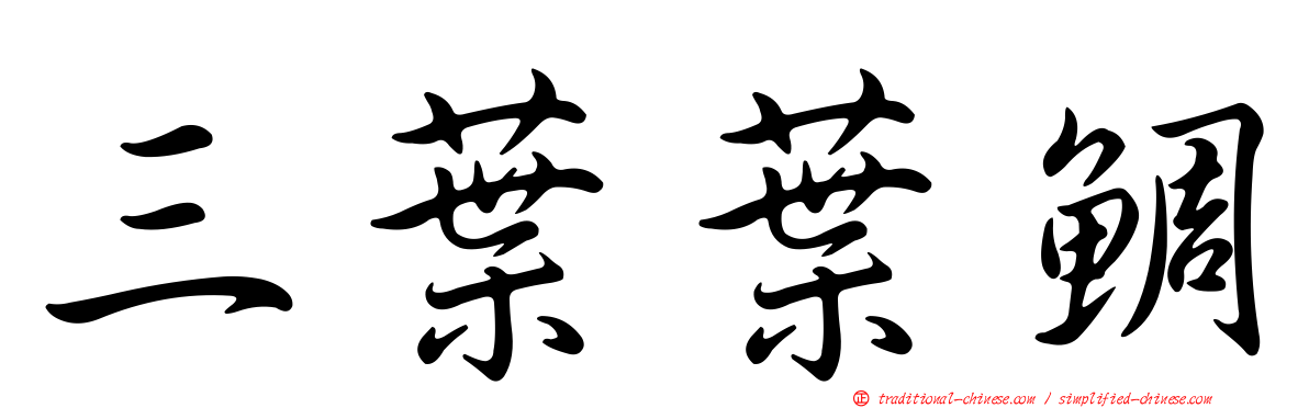 三葉葉鯛