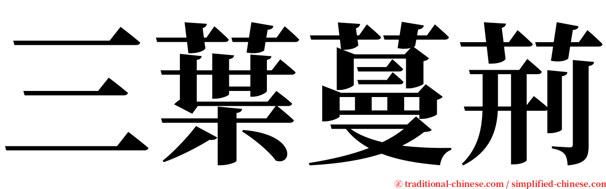 三葉蔓荊 serif font