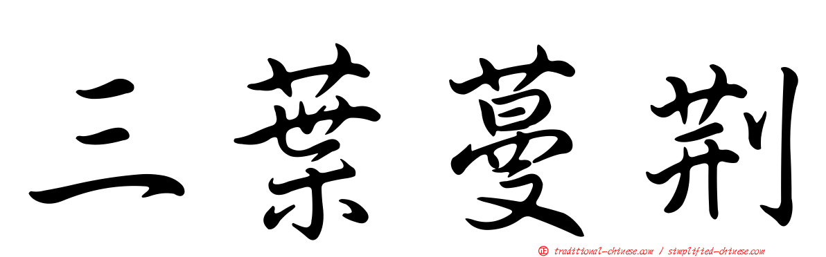 三葉蔓荊