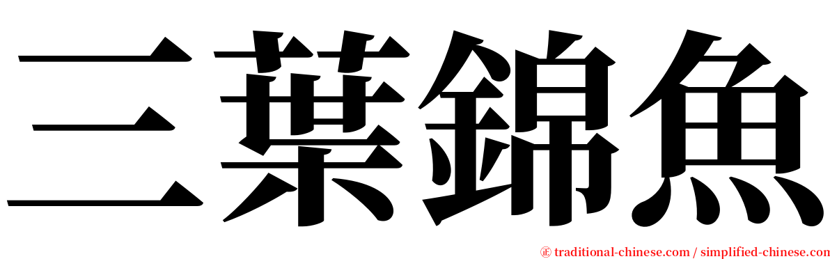 三葉錦魚 serif font